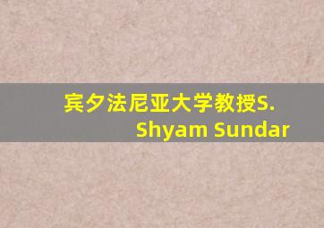 宾夕法尼亚大学教授S. Shyam Sundar
